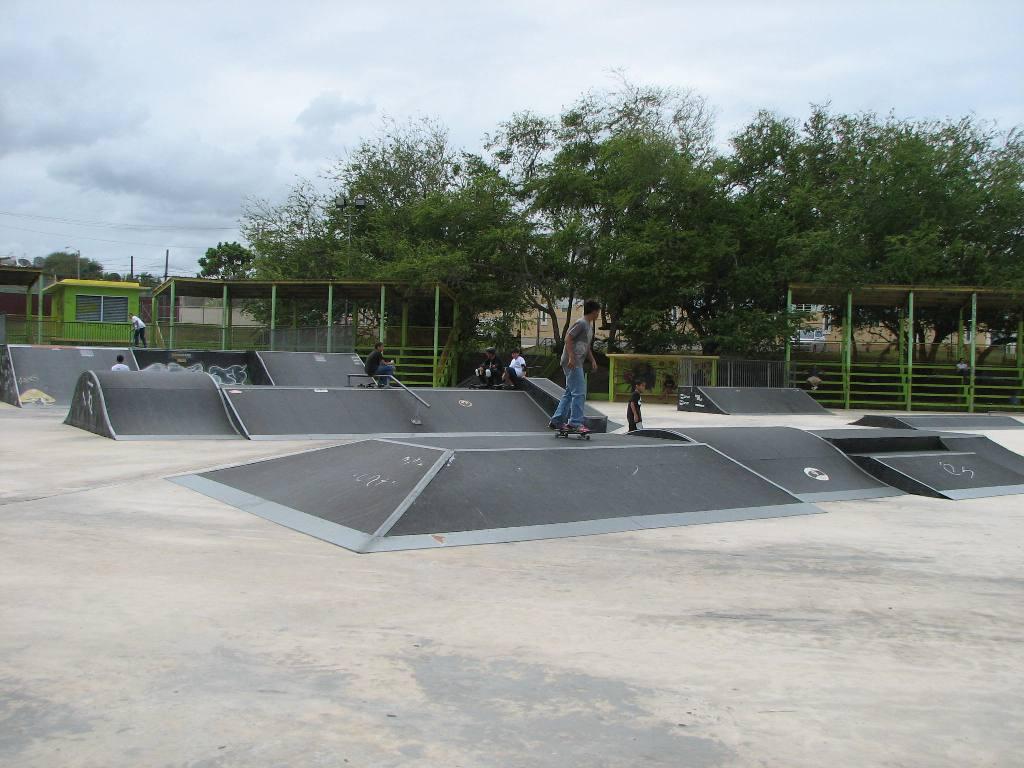 Arecibo Skatepark
